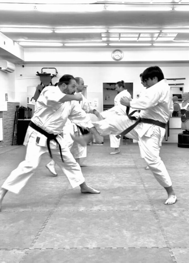 Zwei Karatekas beim Partnertraining.